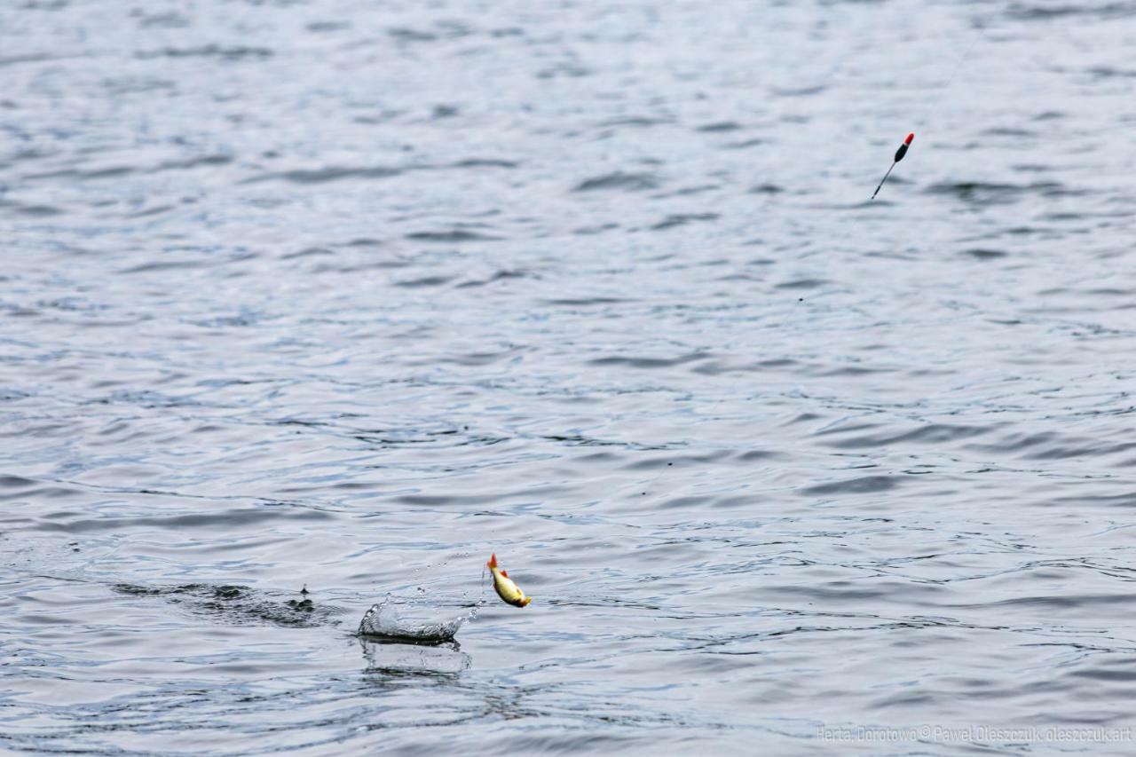 Pokoje Herta - Domek Letniskowy Stawiguda Exteriör bild